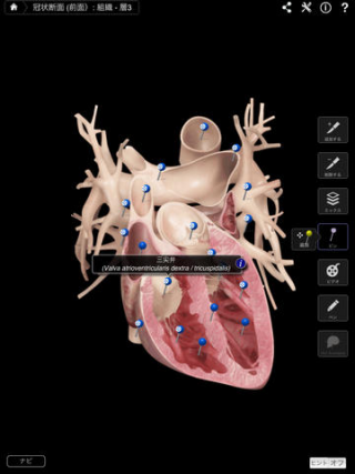 Heart Pro III iPadアプリ