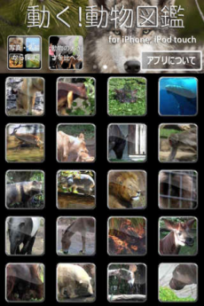 動く！動物図鑑 mini iPhoneアプリ